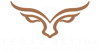 Texas Nation 